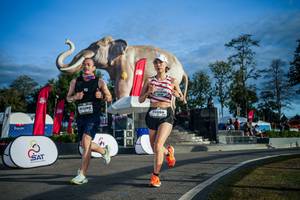 BIB: 
                            <button type="button" onclick="openModal(26541638)" class="btn btn-primary btn-sm float-right btn-popup" data-toggle="modal" data-target=".modal-high-quality">
                        <i class="fas fa-shopping-cart"></i> Add to Cart
                    </button>
                                            <button type="button" onclick="isThisMe(26541638, true)" class="btn btn-success btn-sm float-right btn-popup btn-isme hidden" data-toggle="tooltip" data-placement="bottom" title="นี่คือรูปของคุณใช่ไหม คลิกที่นี่เพื่อเอาเข้าอัลบั้ม">
                        <i class="fas fa-plus"></i> Add to album
                    </button>
                    <button type="button" onclick="isThisMe(26541638, false)" class="btn btn-warning btn-sm float-right btn-popup btn-isnotme hidden">
                        <i class="fas fa-ban"></i> Remove from album
                    </button>